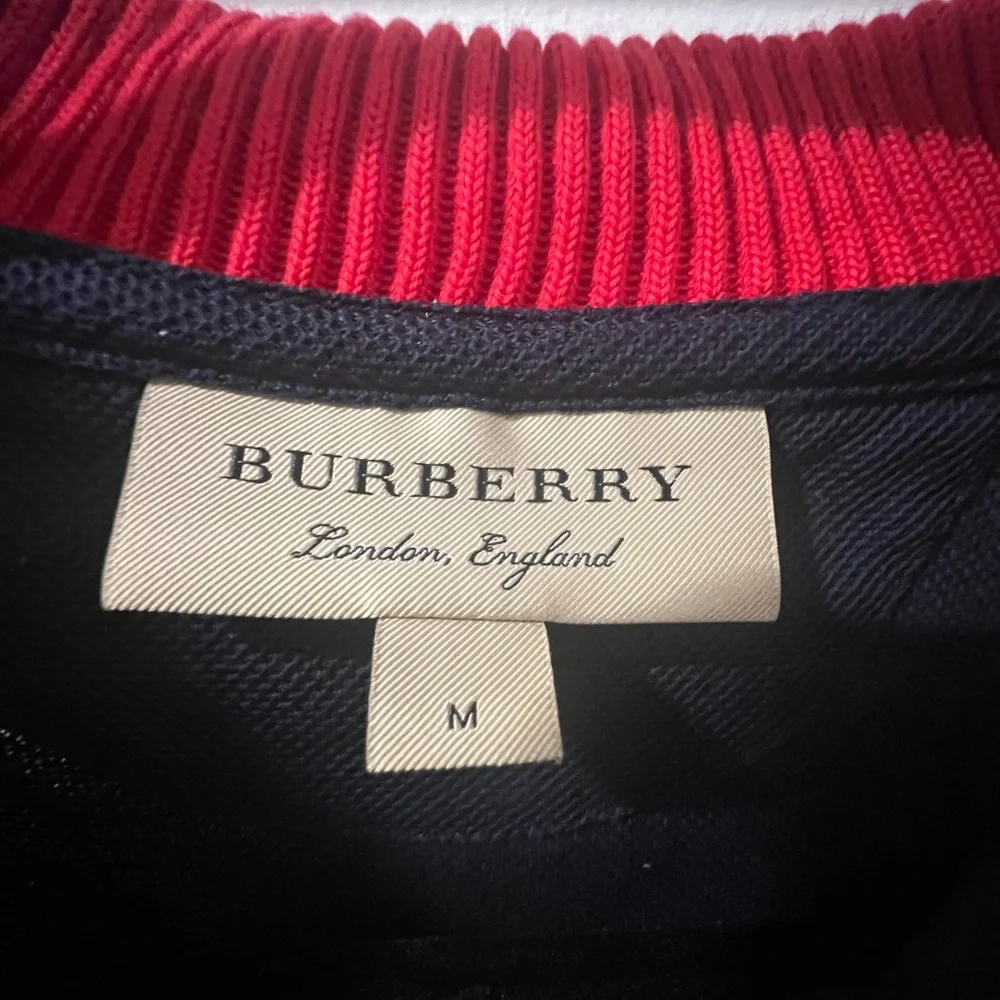 Burberry Polo with Red and Purple Striped Collar - Picture 5 of 8
